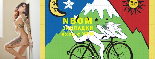 индика Армянск