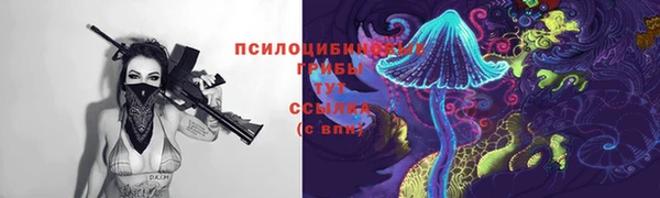 индика Армянск