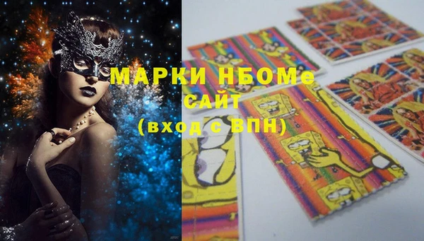 индика Армянск