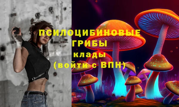 индика Армянск