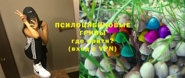 а пвп мука Аркадак