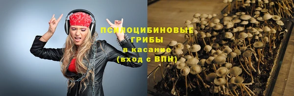 индика Армянск